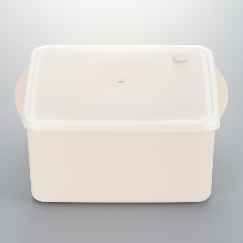 ヘルシーレンジスチーマーIV