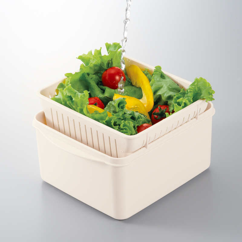 ヘルシーレンジスチーマーIV