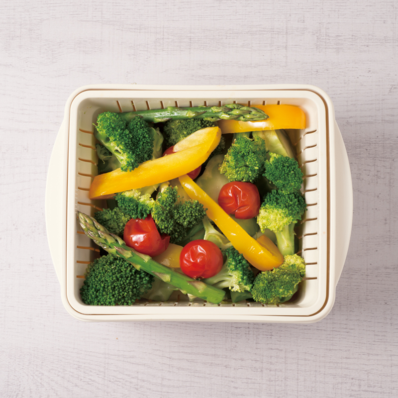 ヘルシーレンジスチーマーIV