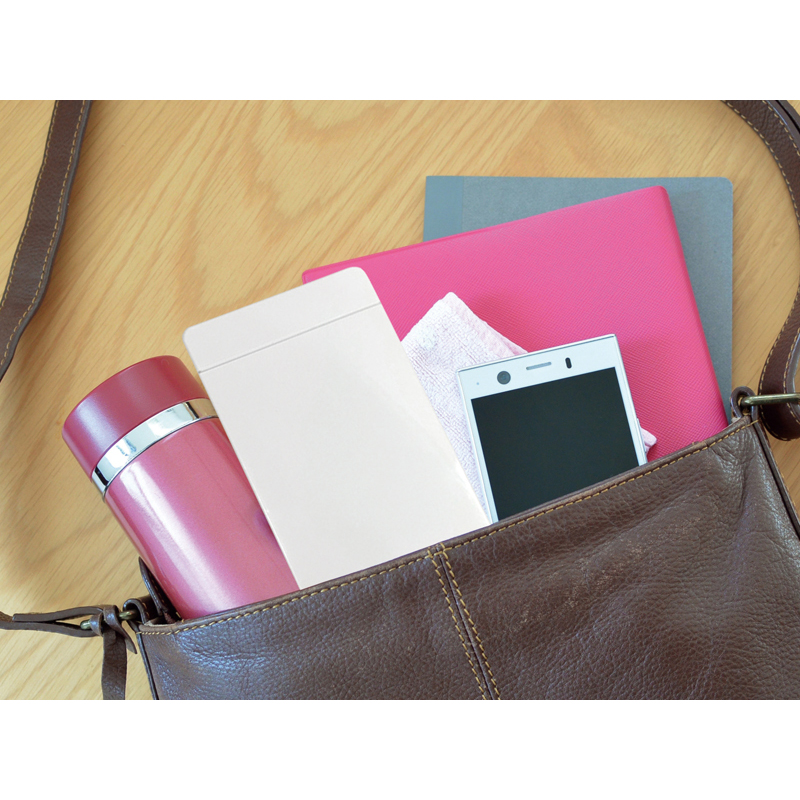 抗菌マスクケース